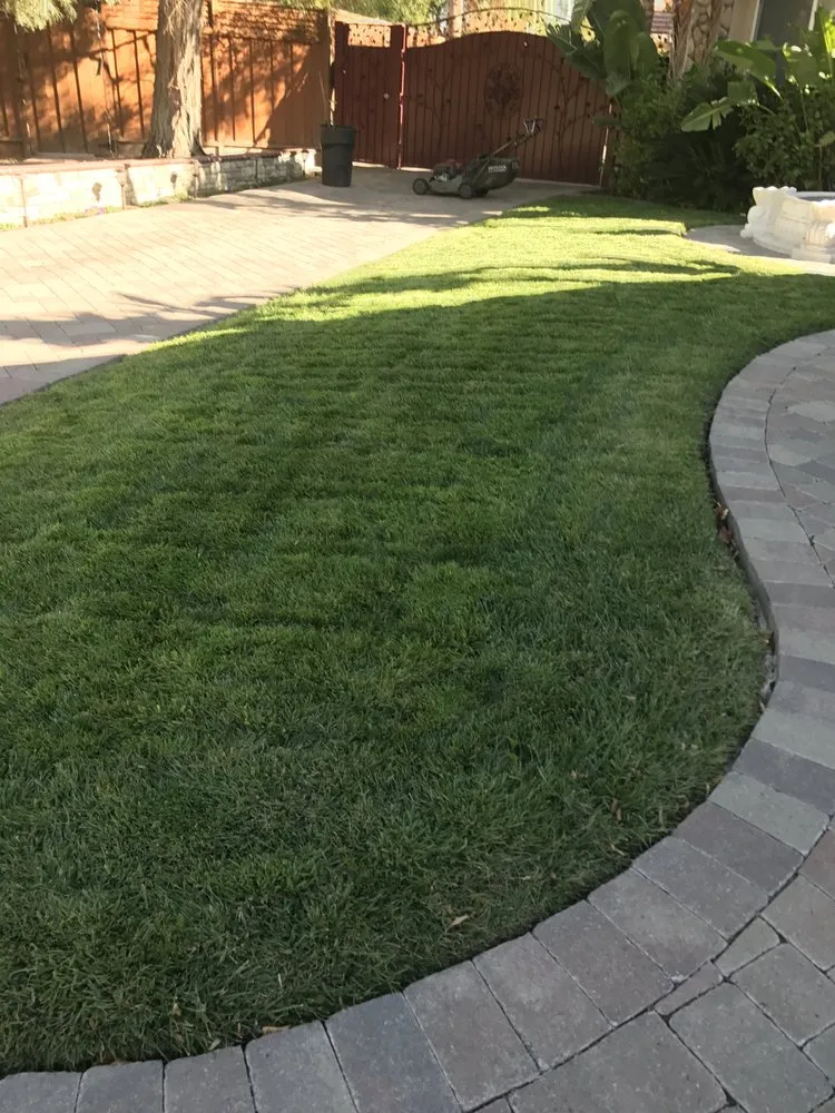 Trusted yard maintenance in Pittsburg, CA - Abel's Yard Services