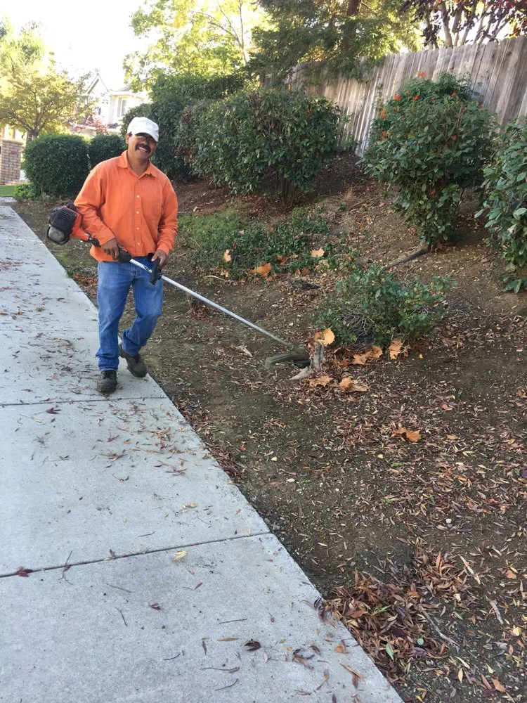 Reliable residential landscaping for year-round maintenance in Pittsburg, CA by Abel's Yard Services