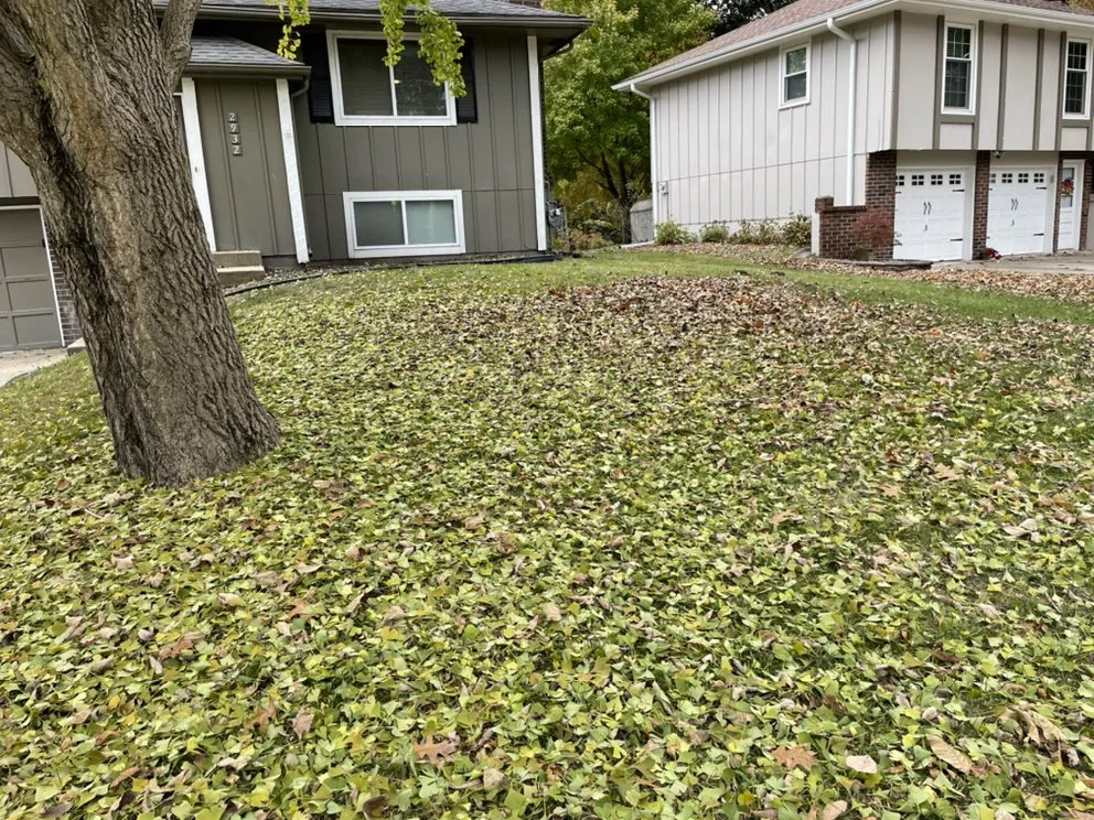 Custom garden landscaping experts serving Blue Springs, MO - Aber Property Management