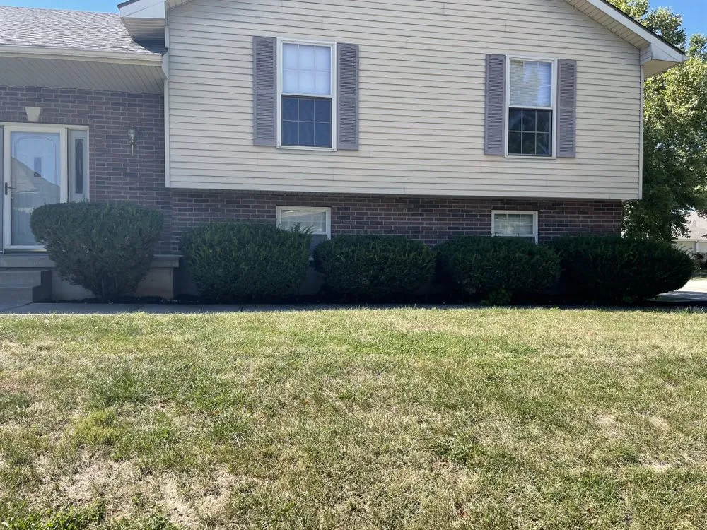 Affordable yard cleanup service in Blue Springs, MO by Aber Property Management