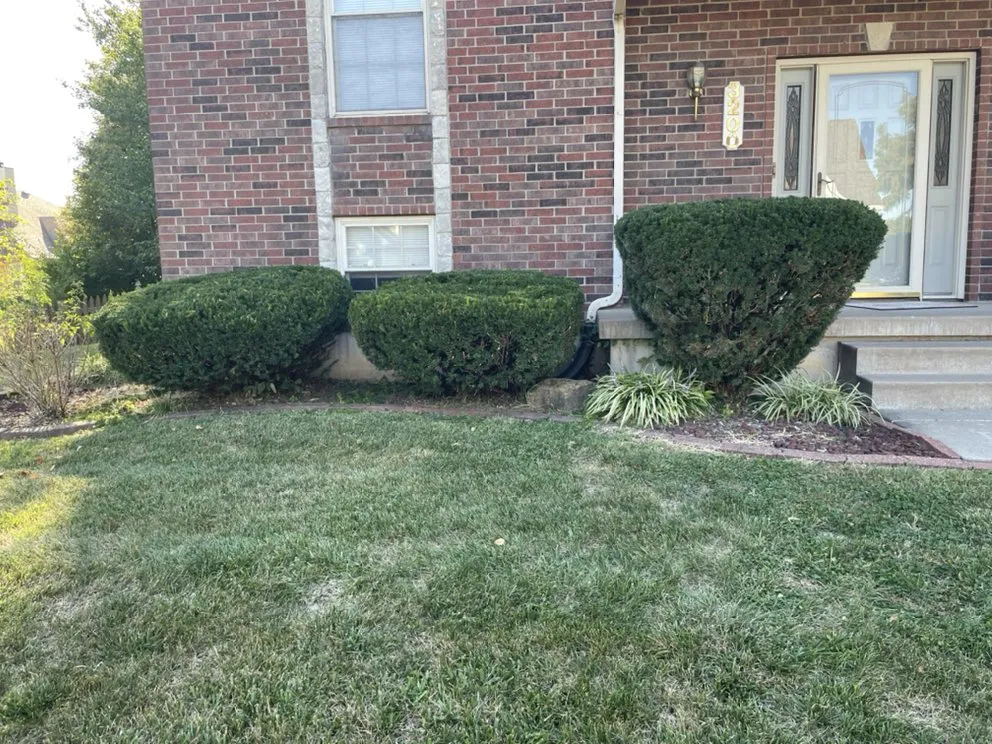 Top-rated lawn mowing service experts serving Blue Springs, MO - Aber Property Management