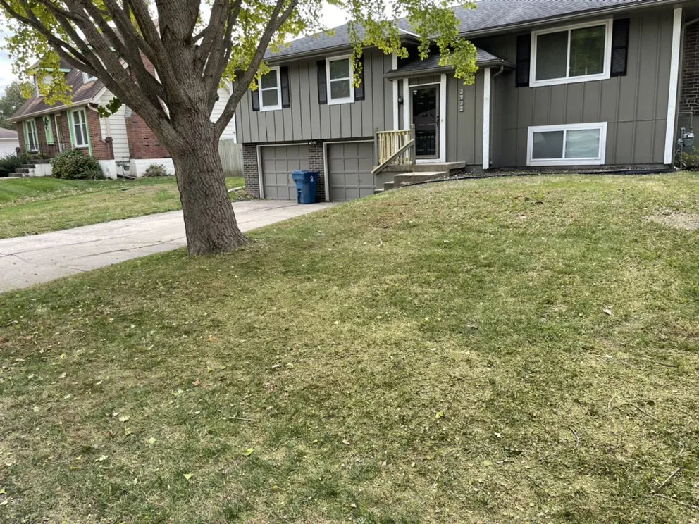 Custom landscaping services for homes across Blue Springs, MO - Aber Property Management