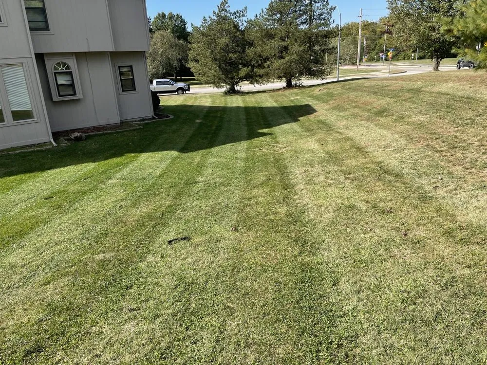 Affordable landscaping services in Blue Springs, MO - Aber Property Management