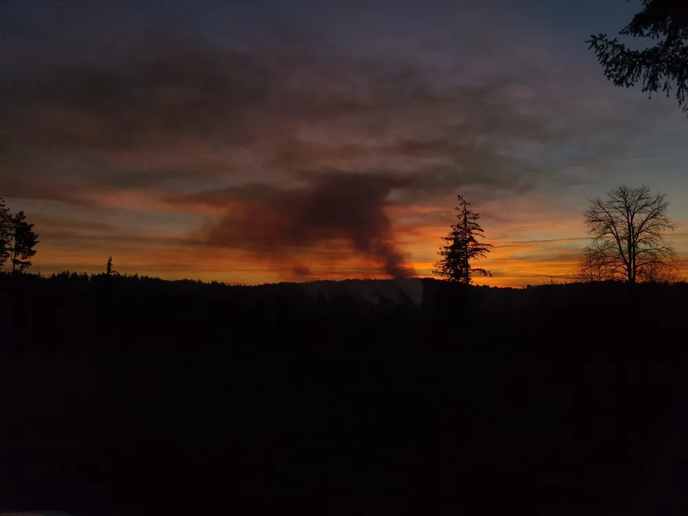 Affordable lawn mowing service for residential properties across Yacolt, WA - Abernathy Stump Grinding