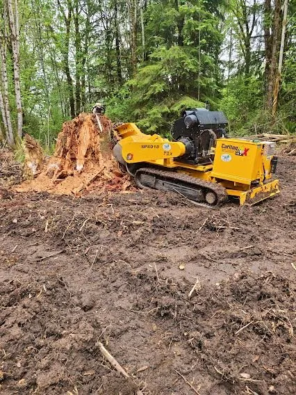 Reliable lawn care service in Yacolt, WA by Abernathy Stump Grinding