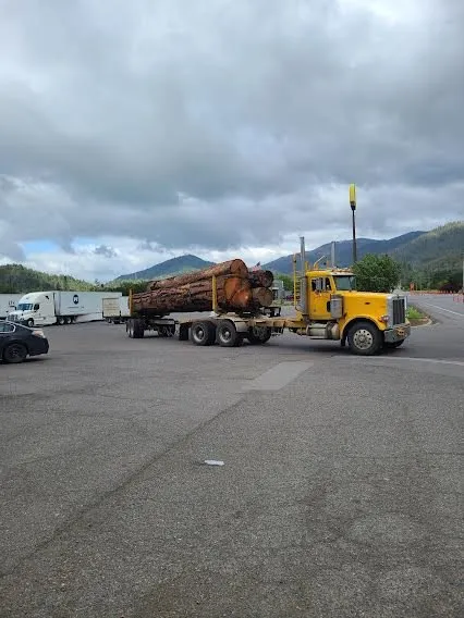 Reliable yard maintenance with custom design in Yacolt, WA by Abernathy Stump Grinding