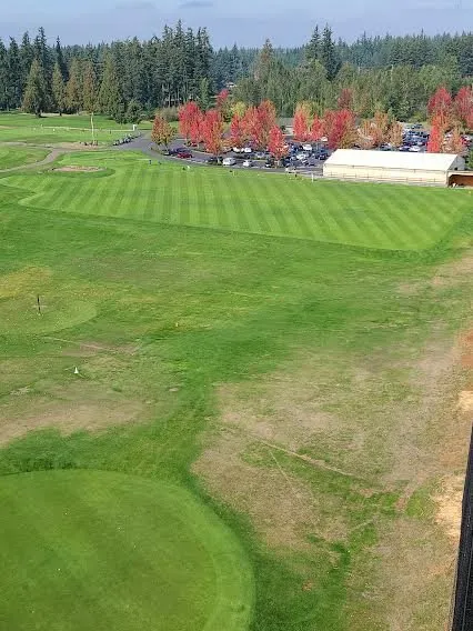 Expert yard cleanup service for homes across Yacolt, WA - Abernathy Stump Grinding