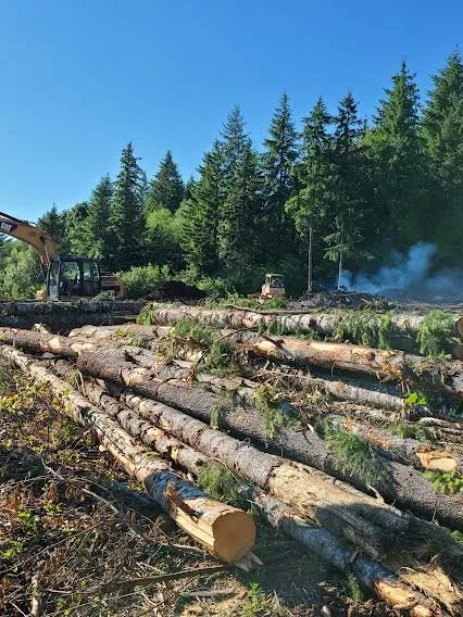Expert garden landscaping for homes in Yacolt, WA by Abernathy Stump Grinding