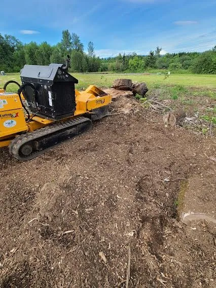 Custom residential landscaping in Yacolt, WA - Abernathy Stump Grinding