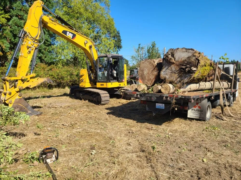 Professional yard cleanup service in Yacolt, WA - Abernathy Stump Grinding