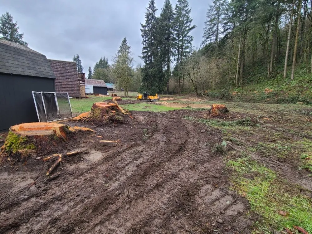 Local lawn care service in Yacolt, WA - Abernathy Stump Grinding