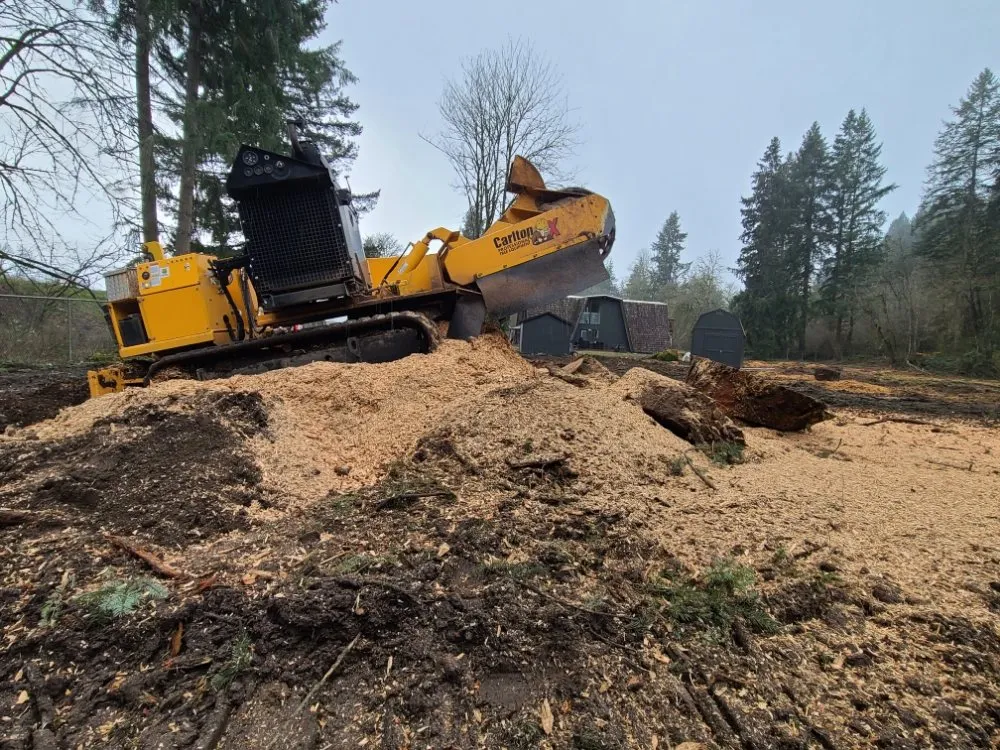 Trusted yard maintenance for year-round maintenance in Yacolt, WA by Abernathy Stump Grinding