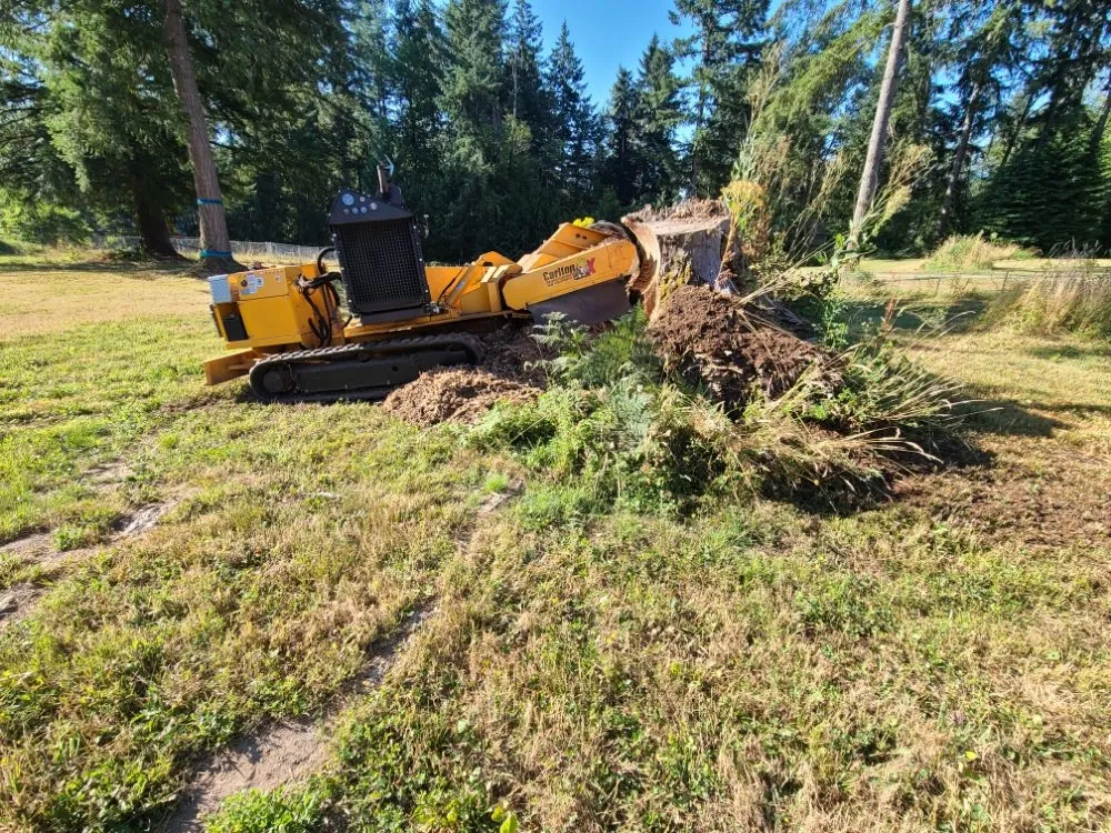 Affordable lawn care service for beautiful yards across Yacolt, WA - Abernathy Stump Grinding