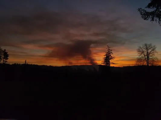 Abernathy Stump Grinding