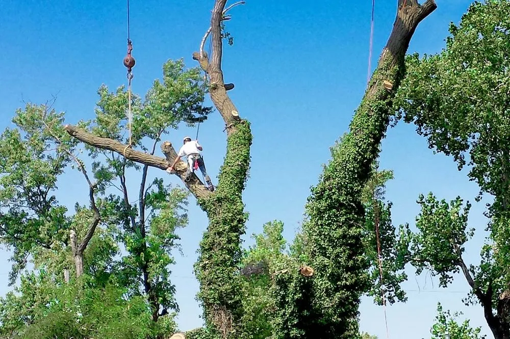 Custom residential landscaping for homes across Wichita, KS - Abe's Lawn and Tree Service