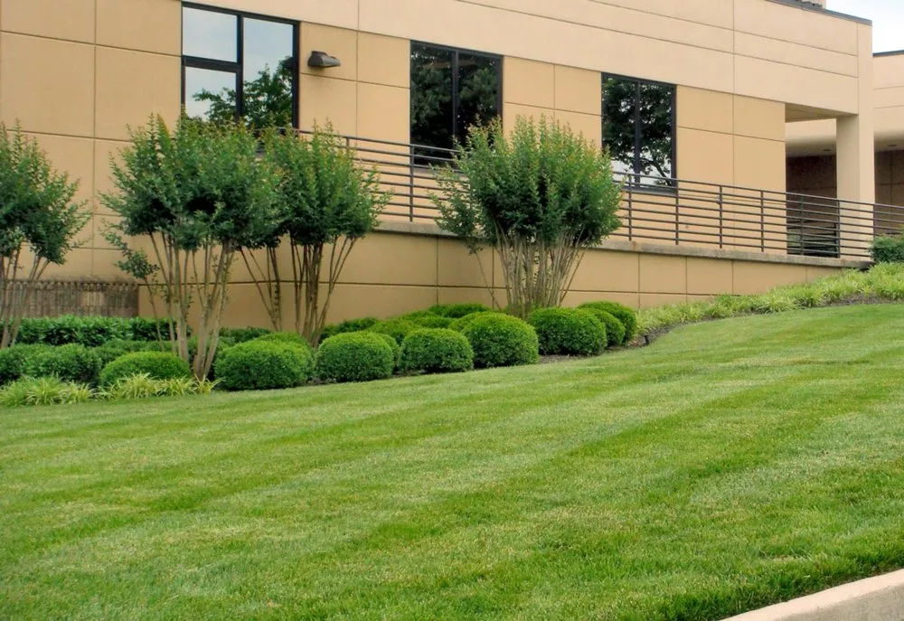 Professional landscape design for outdoor upgrades across Wichita, KS - Abe's Lawn and Tree Service