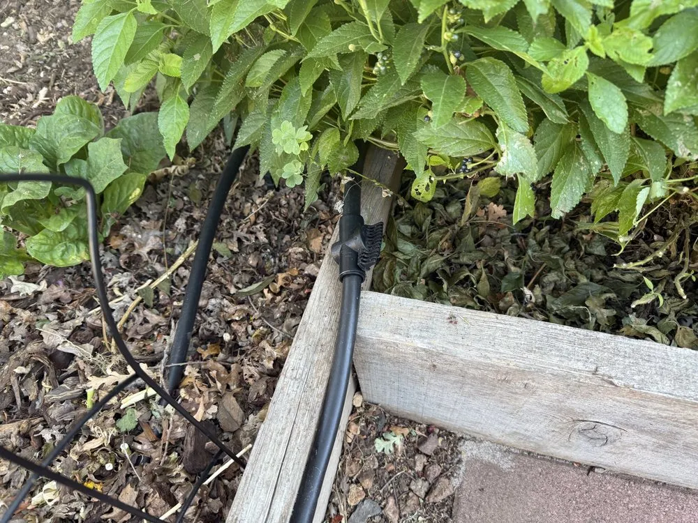 Trusted garden landscaping for year-round maintenance across Chico, CA - Abe's Yard Clean-Up