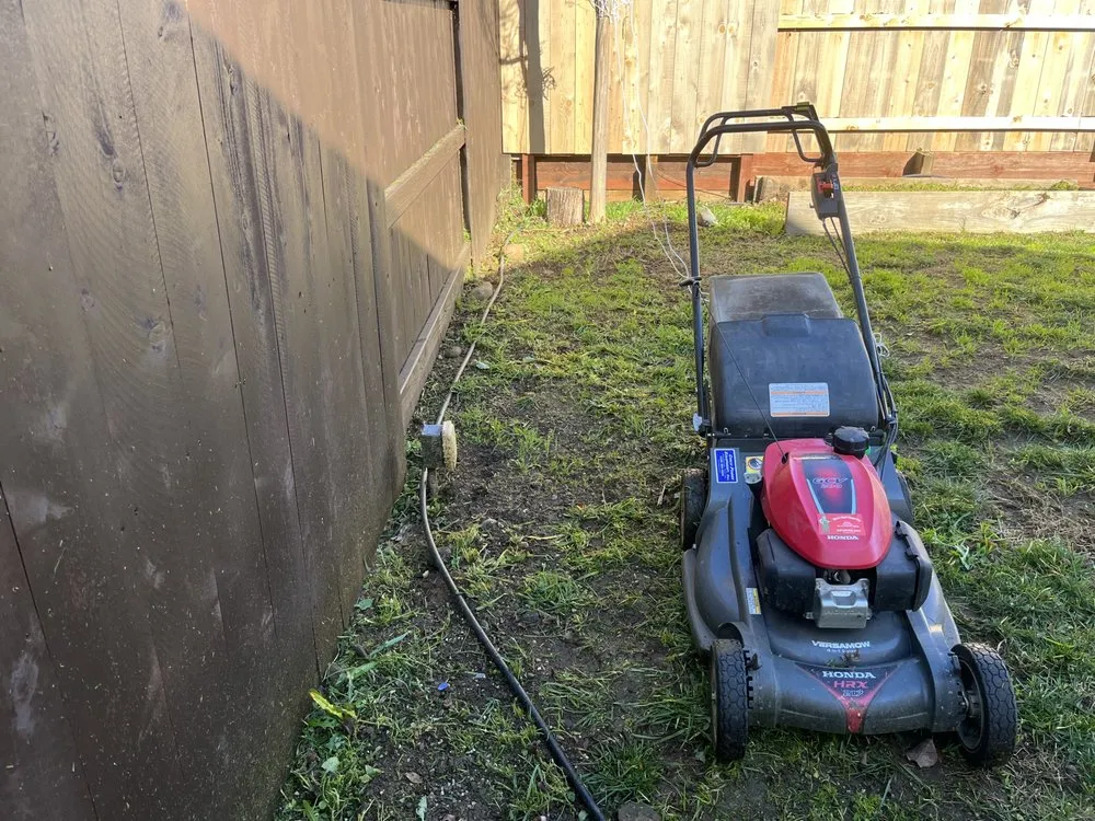 Affordable lawn care service in Chico, CA - Abe's Yard Clean-Up