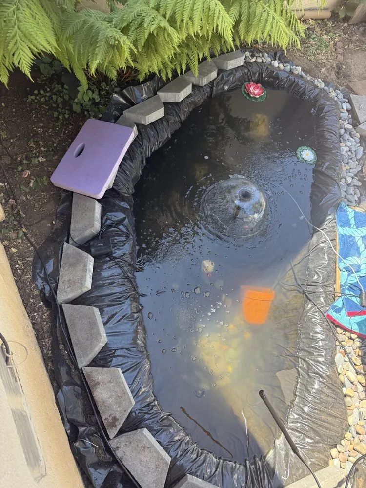 Expert lawn mowing service in Chico, CA - Abe's Yard Clean-Up