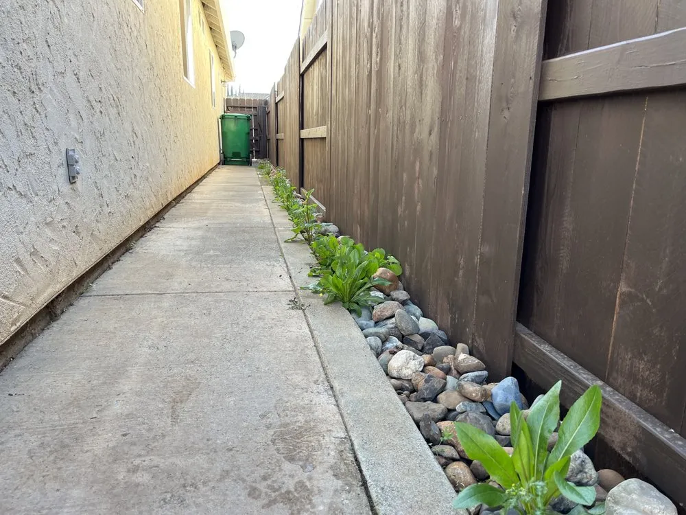 Affordable outdoor landscaping experts serving Chico, CA - Abe's Yard Clean-Up