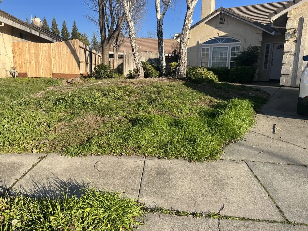 Top-rated residential landscaping with custom design across Chico, CA - Abe's Yard Clean-Up