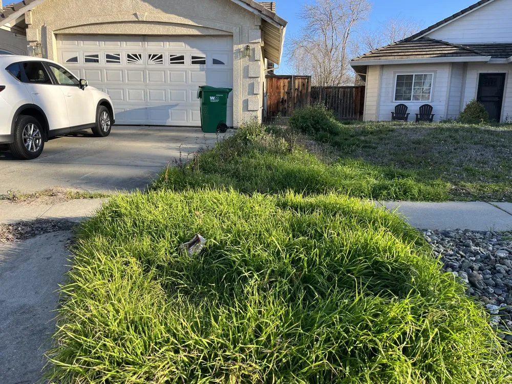 Affordable lawn care service in Chico, CA - Abe's Yard Clean-Up