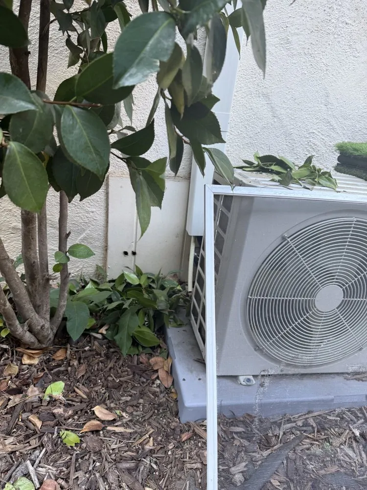 Local landscape design in Chico, CA - Abe's Yard Clean-Up