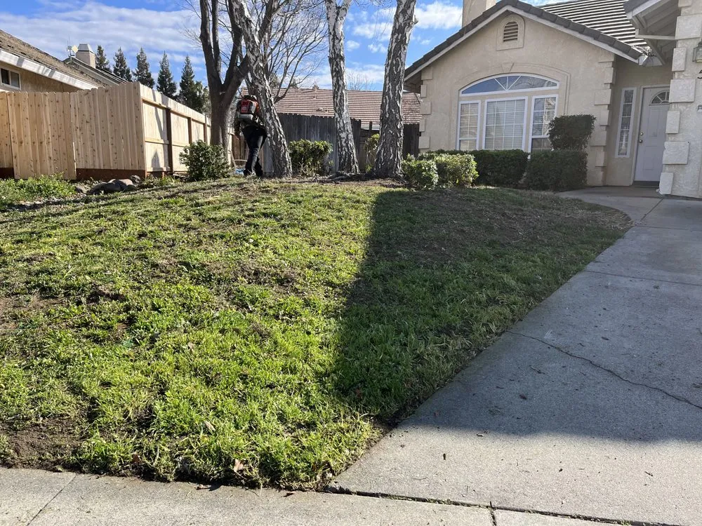 Local lawn mowing service experts serving Chico, CA - Abe's Yard Clean-Up