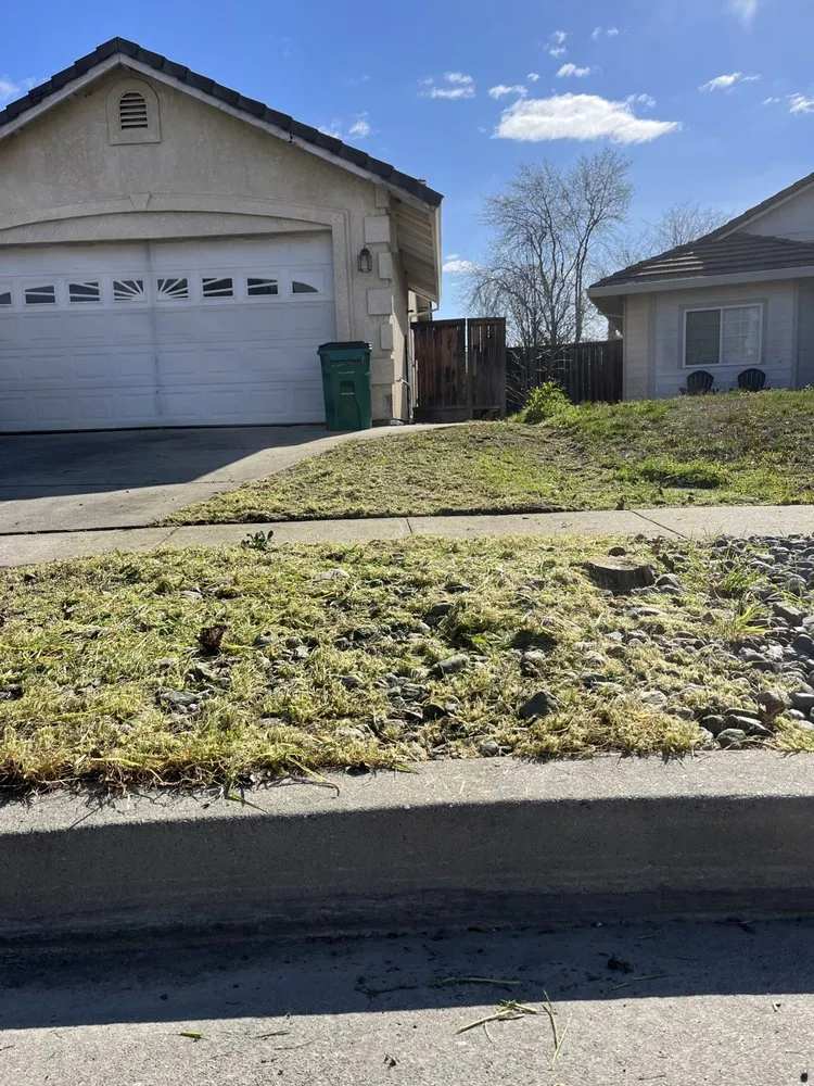 Expert yard cleanup service in Chico, CA - Abe's Yard Clean-Up