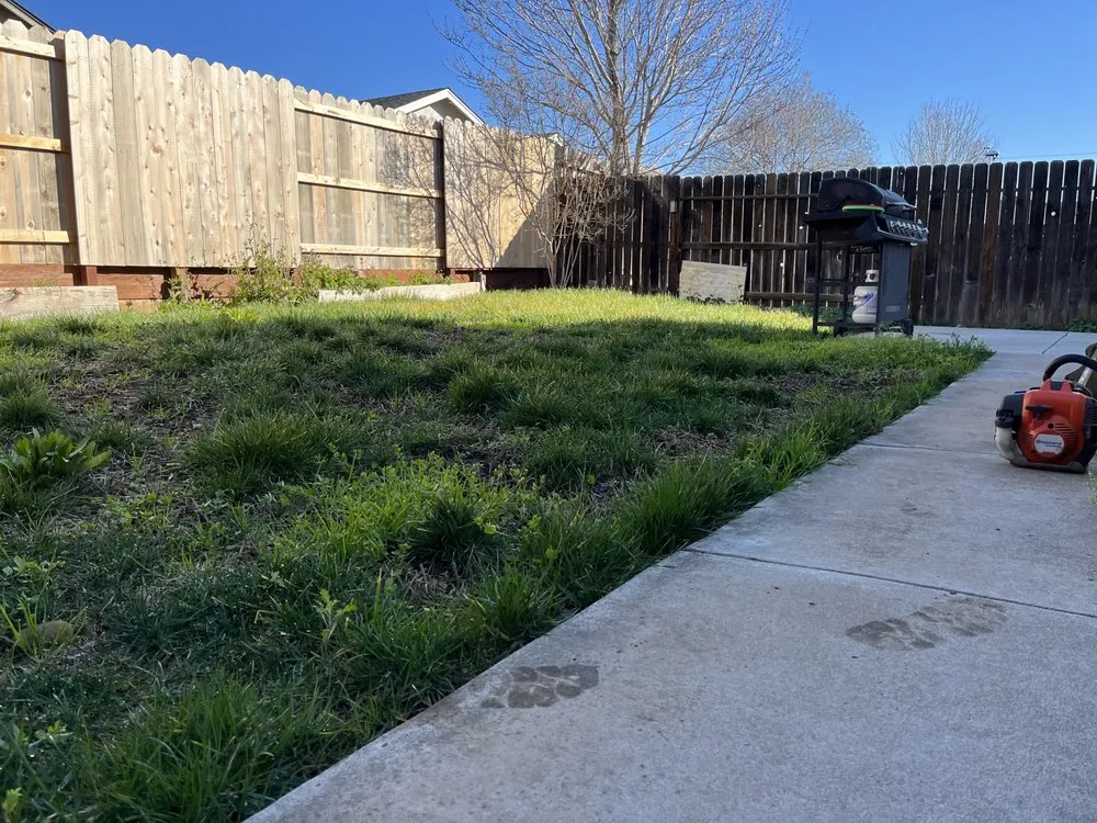 Trusted residential landscaping in Chico, CA - Abe's Yard Clean-Up