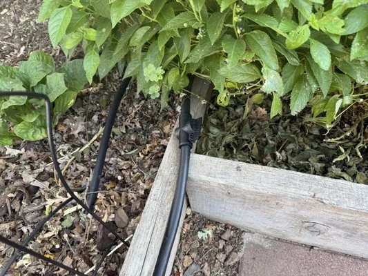 Abe's Yard Clean-Up Logo