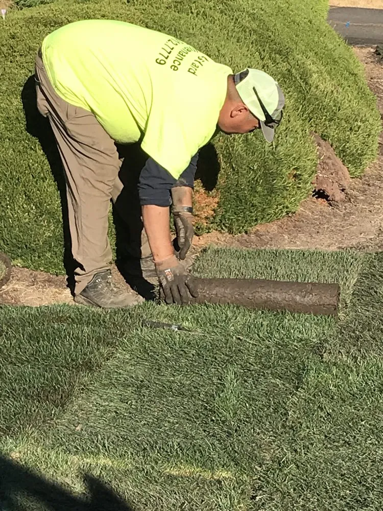 Reliable residential landscaping in Forest Grove, OR - Abe's Yard Maintenance