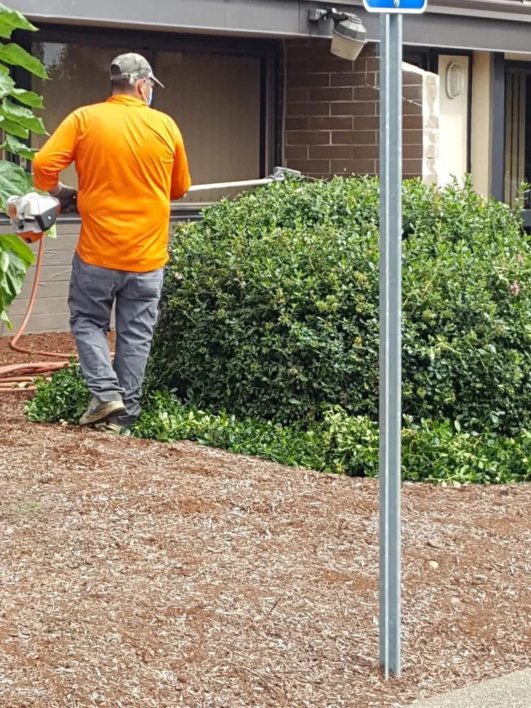Affordable yard maintenance experts serving Forest Grove, OR - Abe's Yard Maintenance