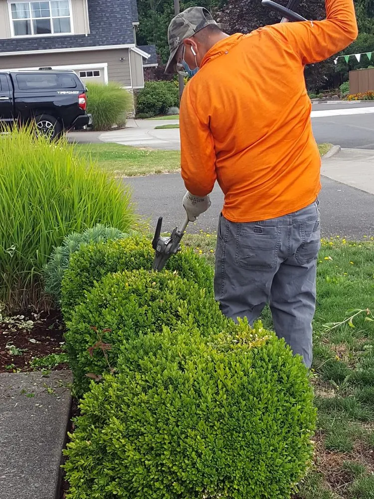 Top-rated lawn care service in Forest Grove, OR by Abe's Yard Maintenance
