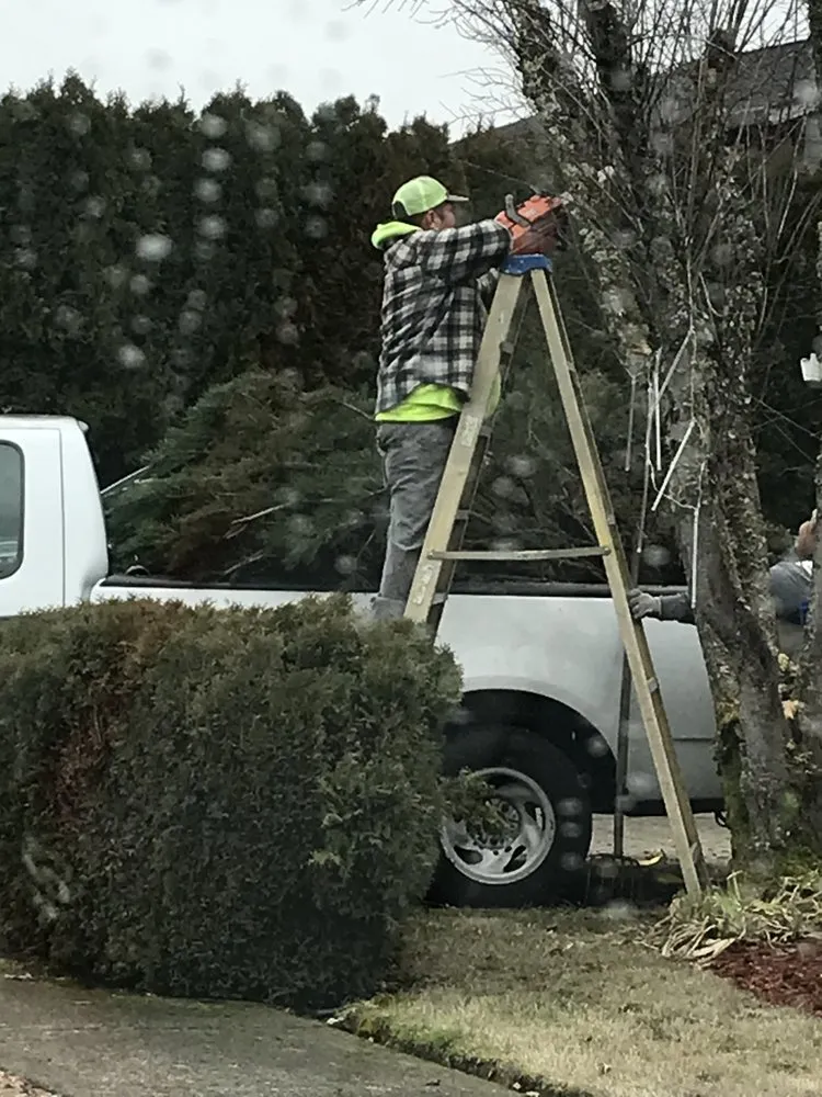 Custom garden landscaping for homes in Forest Grove, OR by Abe's Yard Maintenance