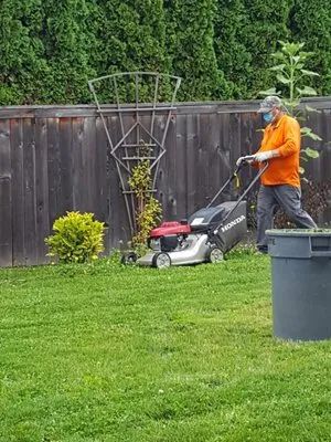 Abe's Yard Maintenance