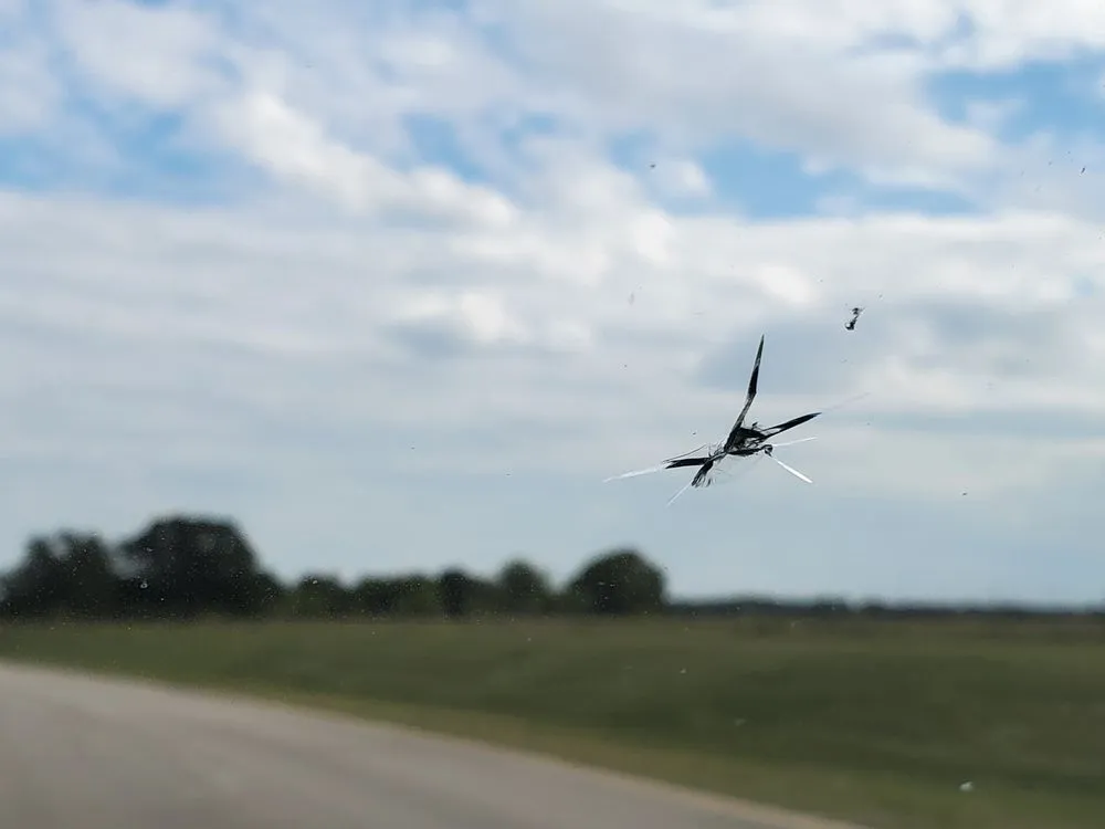 Local residential landscaping experts serving El Paso, TX - Abescape Landscaping