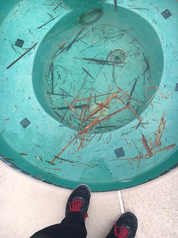 Top-rated yard cleanup service for year-round maintenance across El Paso, TX - Abescape Landscaping