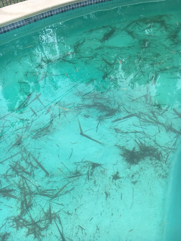 Professional outdoor landscaping experts serving El Paso, TX - Abescape Landscaping