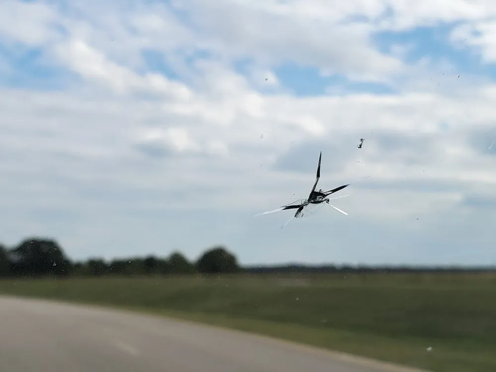 Custom lawn care service in El Paso, TX - Abescape Landscaping