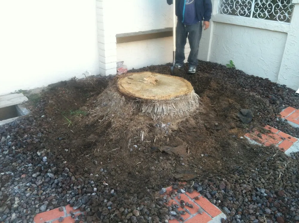 Top-rated garden landscaping with custom design across El Paso, TX - Abescape Landscaping