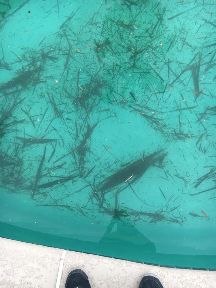 Local residential landscaping with custom design in El Paso, TX by Abescape Landscaping