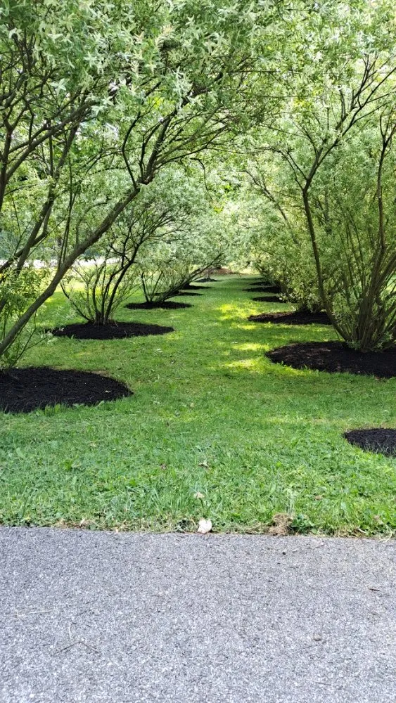 Expert lawn mowing service experts serving Chagrin Falls, OH - A.Betton Landscaping