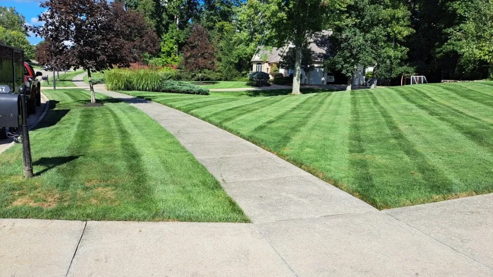 Affordable yard cleanup service in Chagrin Falls, OH - A.Betton Landscaping