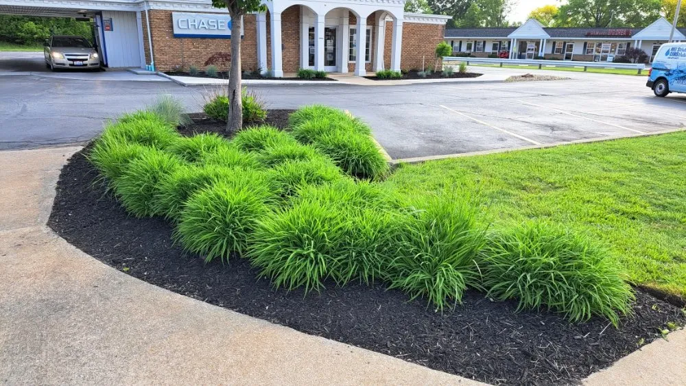 Top-rated lawn care service in Chagrin Falls, OH - A.Betton Landscaping