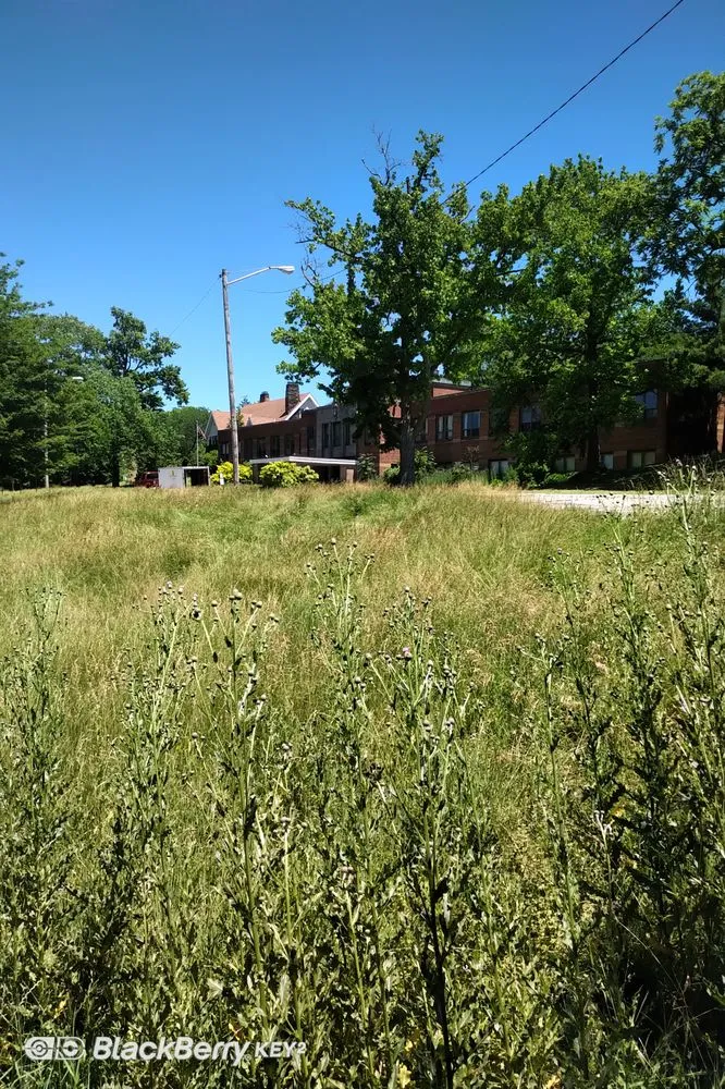 Top-rated garden landscaping in Chagrin Falls, OH by A.Betton Landscaping