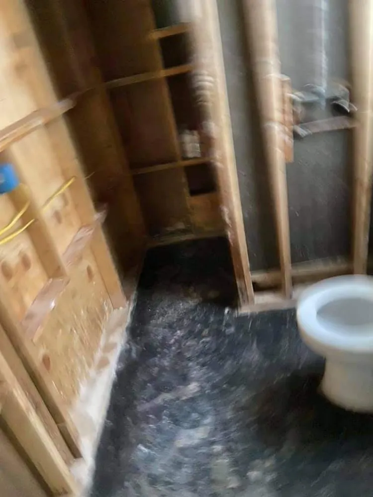 Professional landscaping services experts serving Granbury, TX - AB&G Management