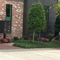 Local yard cleanup service for homes in Granbury, TX by AB&G Management