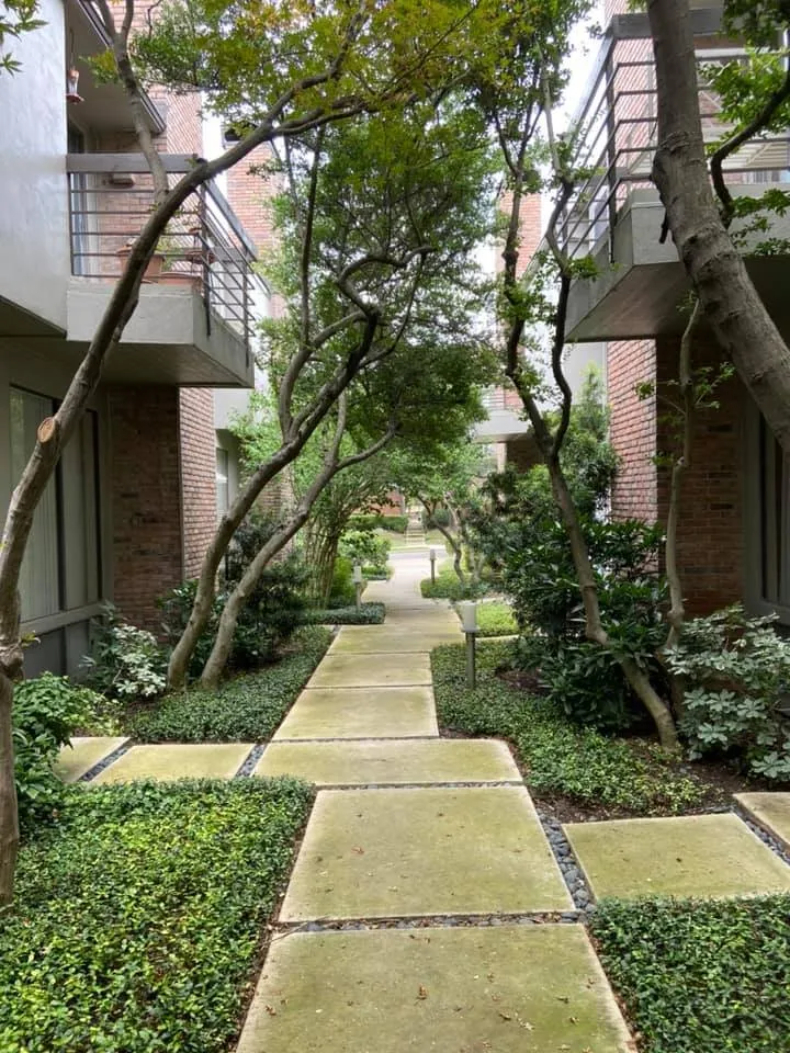 Affordable lawn care service experts serving Granbury, TX - AB&G Management