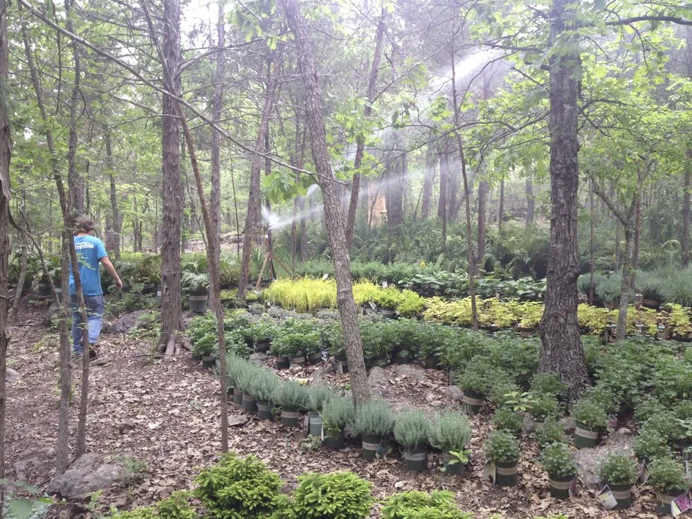 Trusted lawn care service for outdoor upgrades in Farmington, AR by Abi Systems